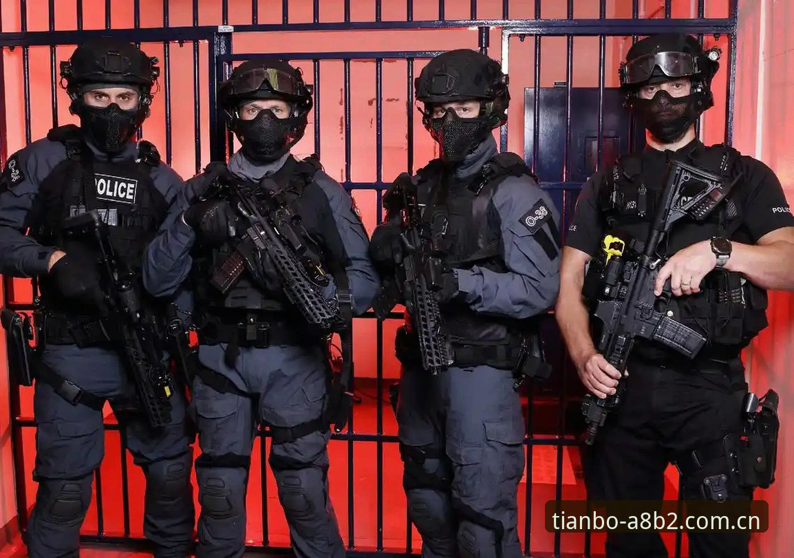 天博体育注册 为什么英国警员只剩3人?天博体育平台揭示安保新思路